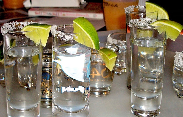 Ее работа была признана Чикагской школой искусств, но она пошутила: “Мне больше нечего было делать, кроме как растить кучу детей!”