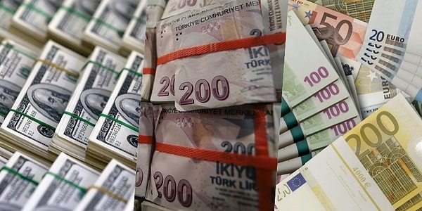 Yurt içi yerleşiklerin döviz mevduatı 445,80 milyon dolar azaldı