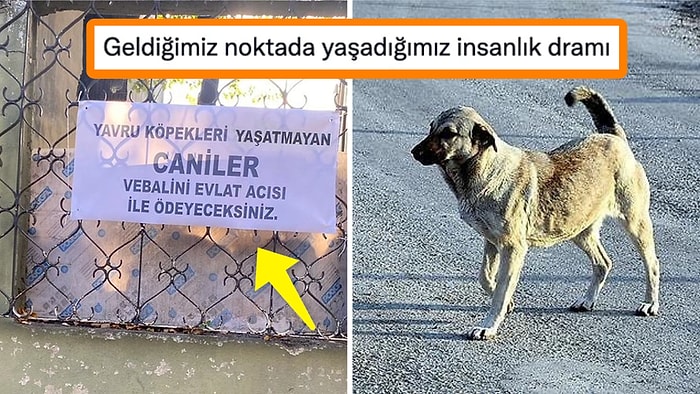 Sokak Köpeklerinin Uyutulması ve Evlat Acısıyla İlgili Tehditkar Pankart Sosyal Medyayı İkiye Böldü