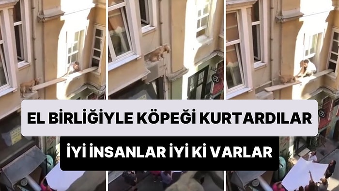 Açık Pencereden Çıkarak Klima Motorunun Üzerinde Mahsur Kalan Köpeği El Birliği ile Kurtaran Güzel İnsanlar