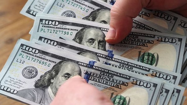 ABD Doları'nın euro, İsviçre Frangı, Japon Yeni, Kanada Doları, İngiliz Sterlini ve İsveç Kronu karşısında farklı ağırlıklarla değerini ölçen Dolar Endeksi'nin de 109 altına gerilemesinin TL karşısında da gerileme yaratmasıyla bu etki oluştu.