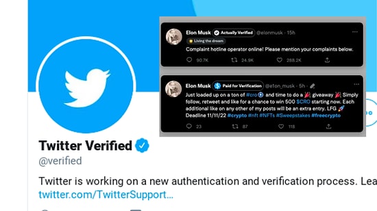 Twitter'da Ak Koyun Kara Koyun Belli Olacak: Mavi Tik Hesapları İfşa Eden Tarayıcı Uzantısı Yayınlandı