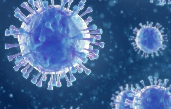İlk önce Asya ülkelerinde ortaya çıktığı söylenen koronavirüs, hızlı bir şekilde tüm dünyaya yayıldı. Salgın nedeniyle 6 milyondan fazla kişi hayatını kaybetti.