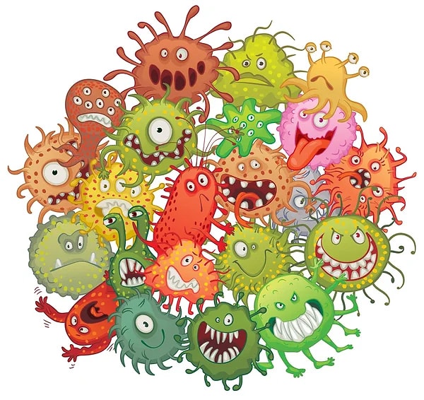 2. Hangisi bakterilerin hepsinde bulunur?