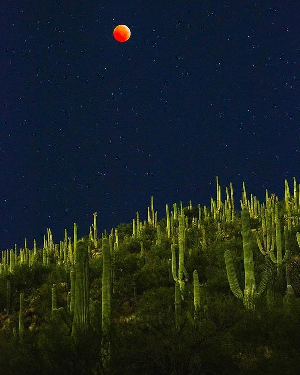 1. Sonoran Çölü üzerindeki Kanlı Ay - Arizona: