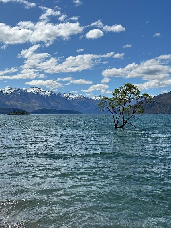 8. Wanaka Gölü - Yeni Zelanda: