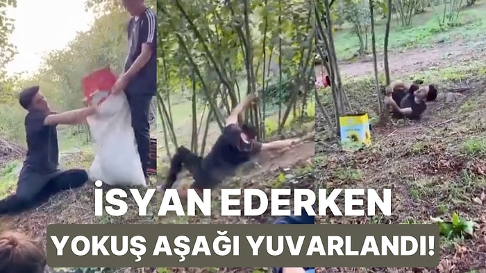 Bir Yandan Fındık Toplayıp Bir Yandan İsyan Eden Gencin Yuvarlanarak Düştüğü Anlar İzleyenleri Güldürdü