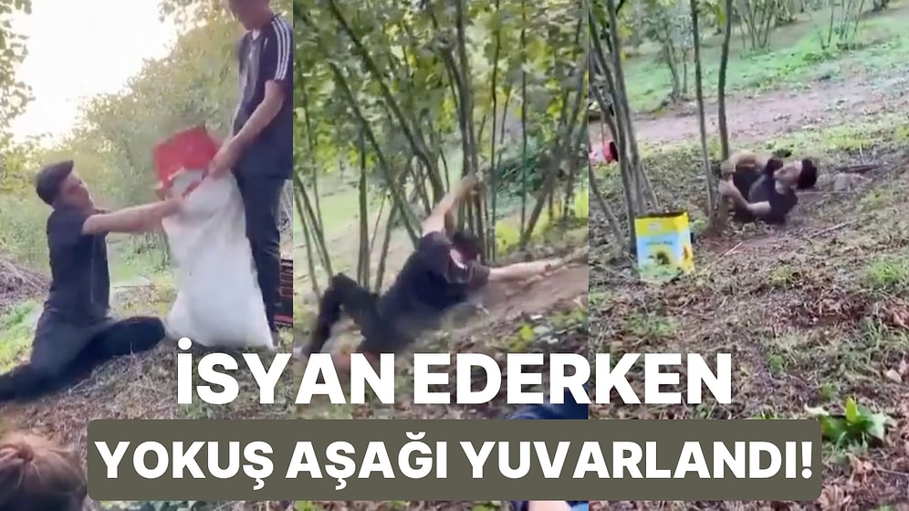 Bir Yandan Fındık Toplayıp Bir Yandan İsyan Eden Gencin Yuvarlanarak Düştüğü Anlar İzleyenleri Güldürdü