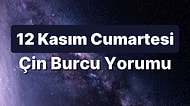 12 Kasım Cumartesi Çin Burcuna Göre Günün Nasıl Geçecek?