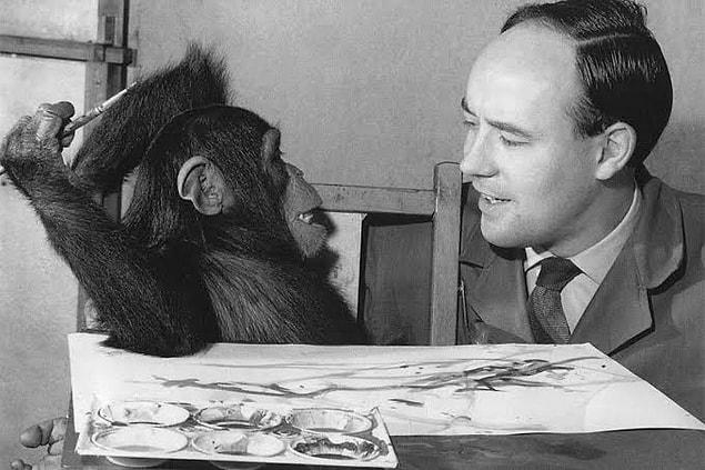 Pablo Picasso, maymun Kongo'nun eserlerine hayranmış.