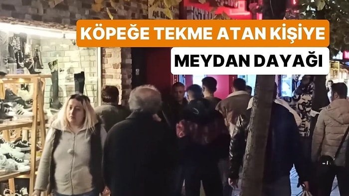 Kendisini Isırdığını İddia Ettiği Köpeğe Tekme Attı: Vatandaşlar Tarafından Meydan Dayağı Yedi