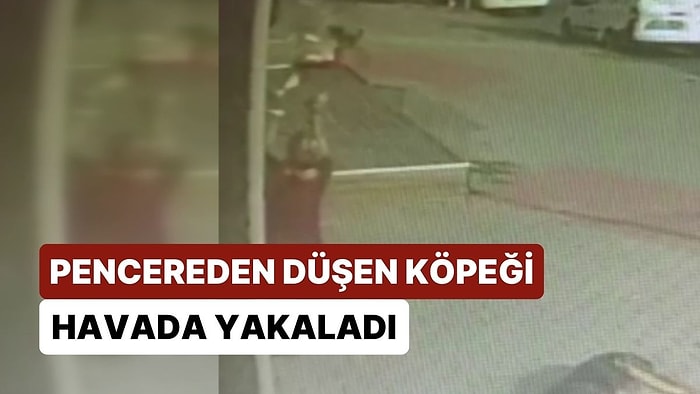 Pencereden Düşen Köpeğini Son Anda Havada Yakaladı!