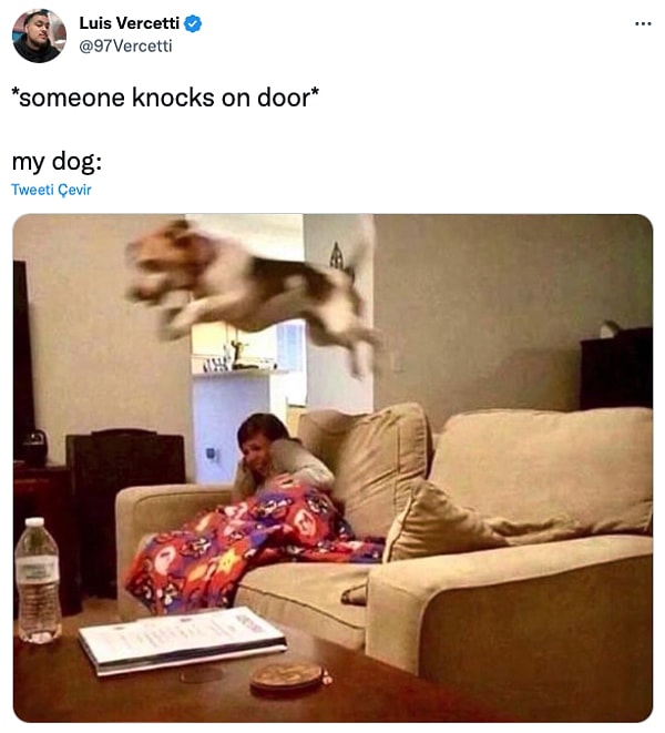 1. "*Birisi kapıyı çalar*          /         Köpeğim: "