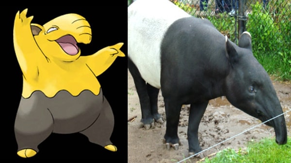 Asian Tapir as Drowzee