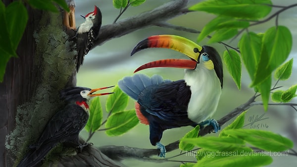 Toucan as Toucannon