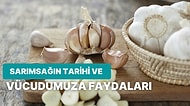 Doğanın Mucizesi Sarımsağın Tarihi ve Sağlığımız İçin Saymakla Bitmeyen Faydaları