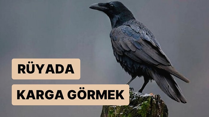 Rüyada Karga Görmek: Çevrenizde Bir Düşmanınız Veya Dişli Bir Rakibiniz mi Var?