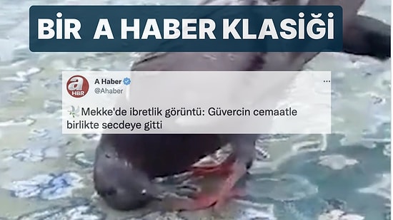 A Haber'in Mekke'de Secdeye Giden Güvercininin Hastalık Geçirdiği Ortaya Çıktı