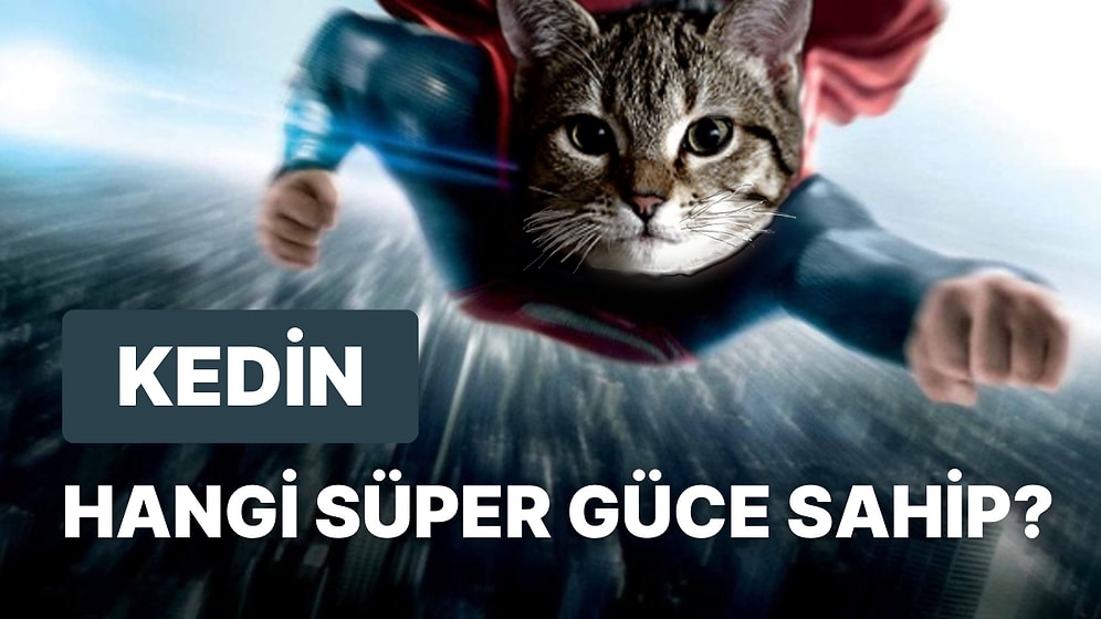 Kedinin Hangi Süper Güce Sahip Olduğunu Söylüyoruz!