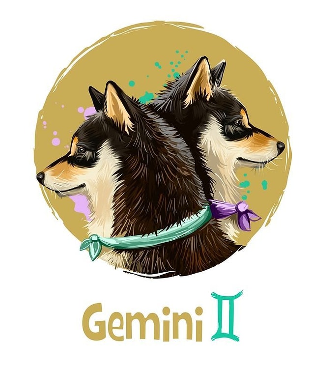 Gémeaux (21 mai - 20 juin)
