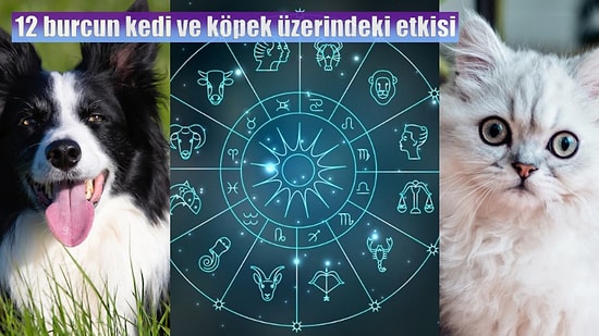 Patili Dostunuzun Burcu Davranışlarını Nasıl Etkiler? İşte 12 Burcun Kedi ve Köpekler Üzerindeki Etkisi