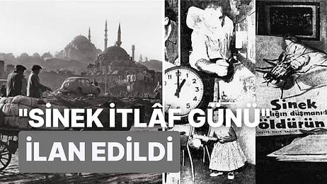 İstanbul'da Sinek Avına Çıkılmadı da Demeyiz! İşte 1959 Yılında Gerçekleşen, Tarihin Belki de En Garip Olayı