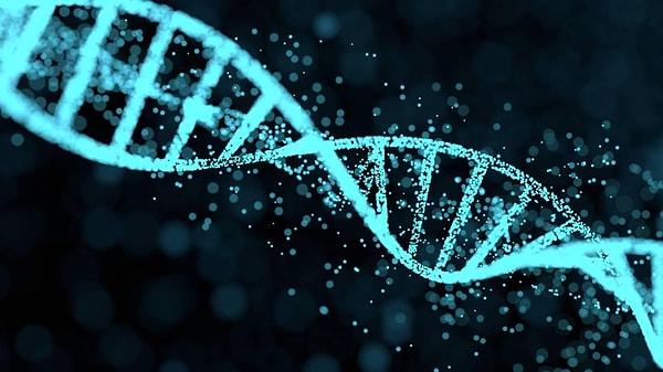 Yapılan araştırmalara göre DNA'mız birbiri üzerine katlanıp farklı yapılar oluşturabiliyor.