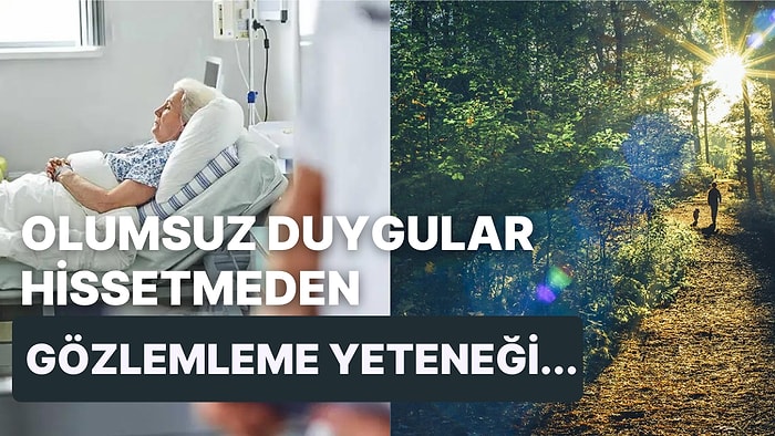 Yeni Bir Araştırma Ölmeden Önce İnsanların Neler Yaşadığını Ortaya Koydu!