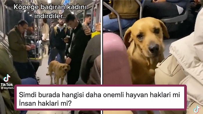 Toplu Taşıma Aracına Binen Sokak Köpeğinden Korkan Kadının Otobüsten İndirilmesi Tartışma Yarattı