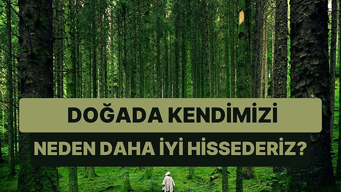 Kendimizi Doğanın Kucağına Bıraktığımızda Daha İyi Hissetmemizin 9 Nedeni