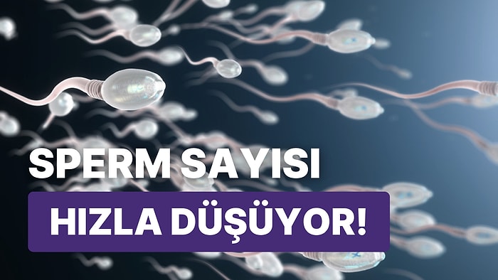 Geleceğimiz Tehdit Altında mı? Dünya Genelinde Sperm Sayısı Hızla Düşüyor