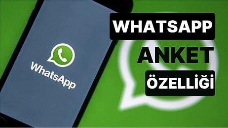 WhatsApp Anket Özelliği Nasıl Kullanılır? WhatsApp'ta Nasıl Anket Açılır?