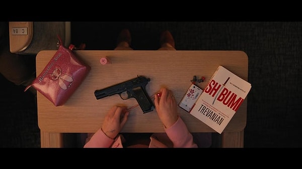 12. Bullet Train (2022) filminde, Prens karakteri Shibumi kitabını okuyor. Bu kitap, filmin yönetmeni David Leitch'in John Wick (2014) ve Atomic Blonde (2017) filmlerinde de görülür.