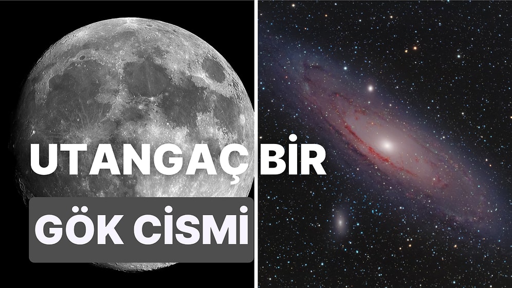 Çok Utangaç Bir Komşumuz Var: Ay'ın Yılda Sadece Bir Kere Ortaya Çıkan Bir Kardeşi Olduğunu Biliyor muydunuz?