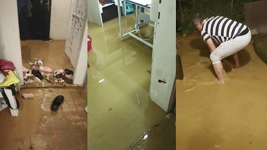 Çamurlu Su Evi Bastı, Canlarını Zor Kurtardılar