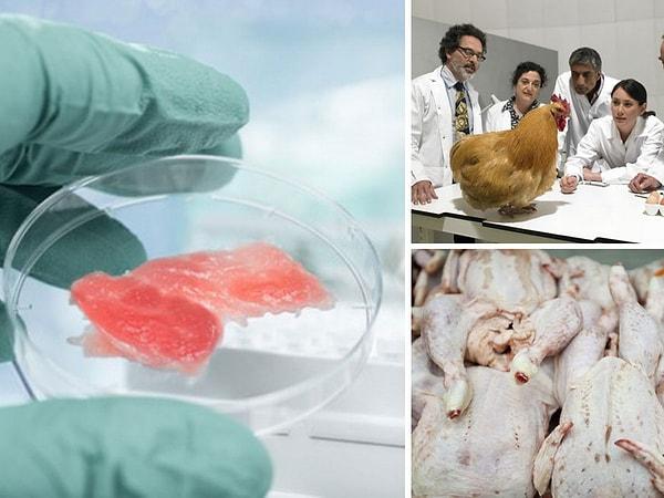 100'den fazla şirket, laboratuvarda üretilen etler üzerinde çalışıyor.