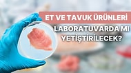 ABD Gıda ve İlaç Dairesi, Çiftlikler Yerine Laboratuvarda Yetiştirilen Tavuk Ürünlerine Yeşil Işık Yaktı!