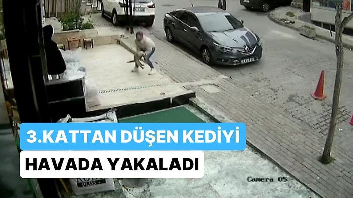 3. Kattan Düşen Kediyi Havada Yakaladı!