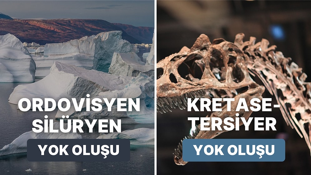 Dinozorları Meteor, Bizi Küresel Isınma! Tarih Boyunca Gerçekleşen Bu Felaketler Yaşayanların %90'ını Yok Etti