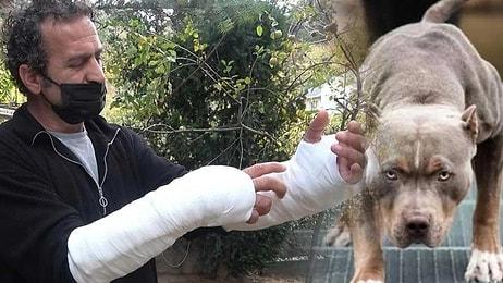 'Pitbull'lu Saldırıdan Köpeği Camdan Atarak Kurtuldu! Atardamarı Parçalandı