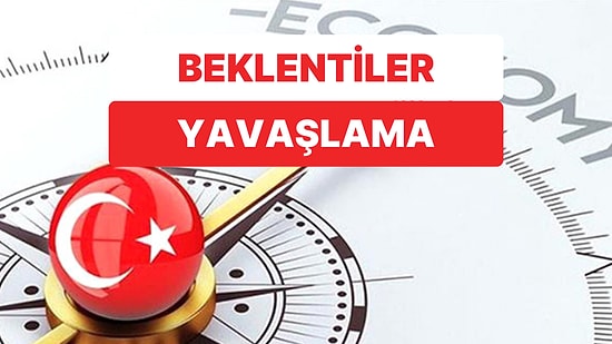 OECD, Türkiye'de Büyümenin ve Enflasyonun Yavaşlamasını Bekliyor
