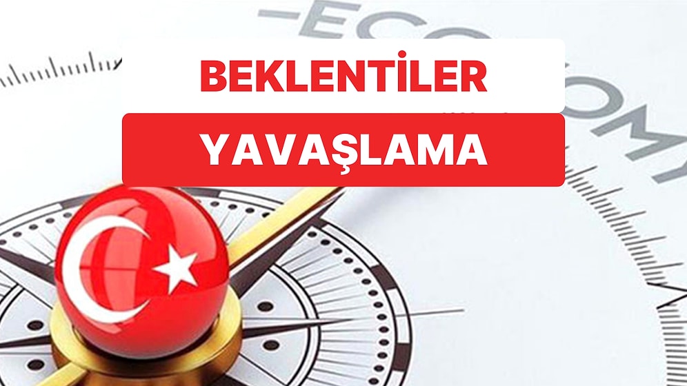 OECD, Türkiye'de Büyümenin ve Enflasyonun Yavaşlamasını Bekliyor