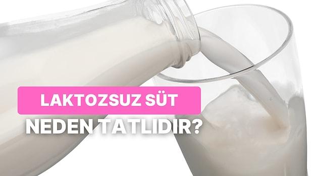 Normal Sütle Laktozsuz Süt Arasındaki Farklar Nelerdir? Laktozsuz Süt Neden Tatlıdır?