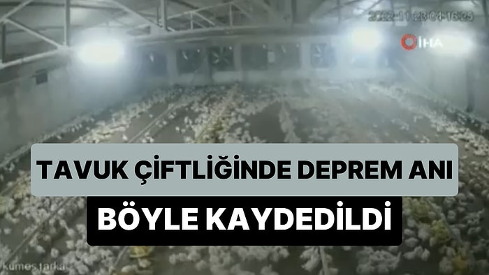 5.9 Büyüklüğündeki Depremin Hissedildiği Bolu'da Bir Tavuk Çiftliğinde Deprem Anları Böyle Kaydedildi