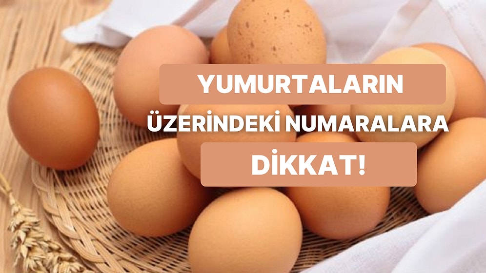 Yumurta Satın Alırken Dikkatli Olun! Yumurtaların Üzerinde Yazan Sayılar Ne Anlama Geliyor?