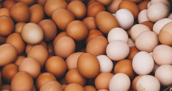 Günümüzde yumurta kodları dört farklı rakamla başlamaktadır: 0, 1, 2 ve 3 şeklindedir.