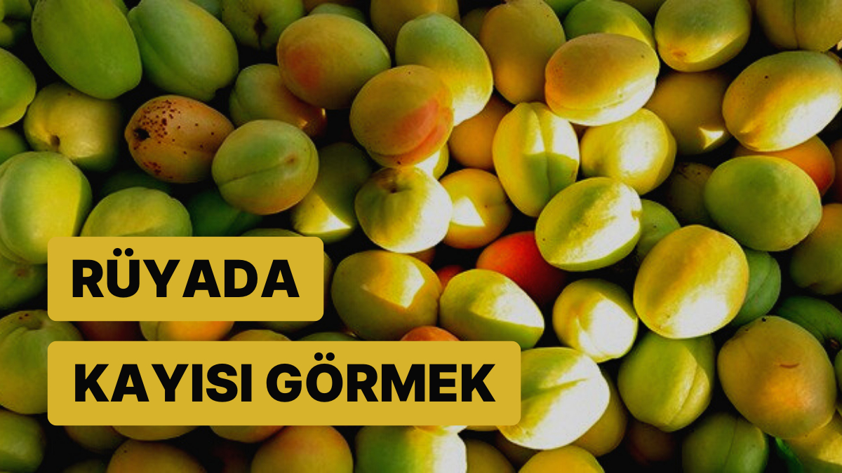 Rüyada Kayısı Görmek Yakında İyi Bir Maddi Kazanç Elde Edebilirsiniz!