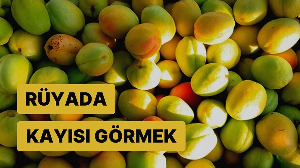 Rüyada Kayısı Görmek: Yakında İyi Bir Maddi Kazanç Elde Edebilirsiniz!