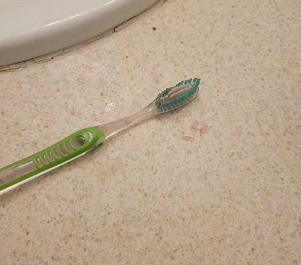 16. "Yurttaki oda arkadaşım aylardır benim diş fırçamı kullanıyormuş."