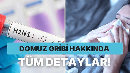 Yeniden Ortaya Çıktı: Domuz Gribi Nedir, Belirtileri Nelerdir? Nasıl Tedavi Edilir?